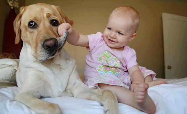 kids-dogs-17