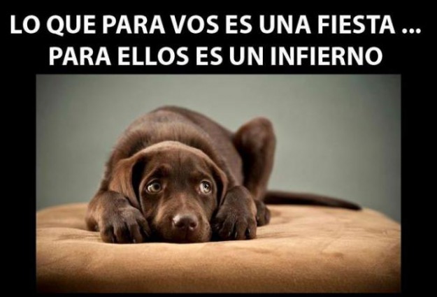 miedo-cohetes