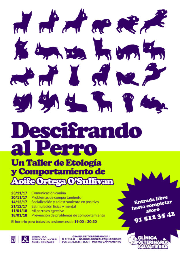 descifrando al perro v2 talleres facebook