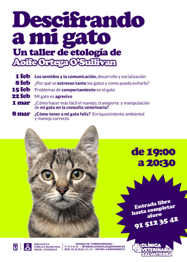Descifrando a mi gato